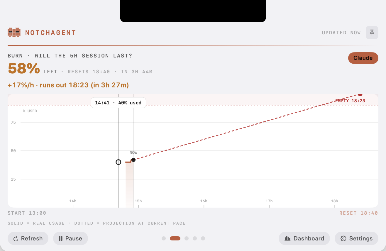 BURN panel with actual and projected quota usage